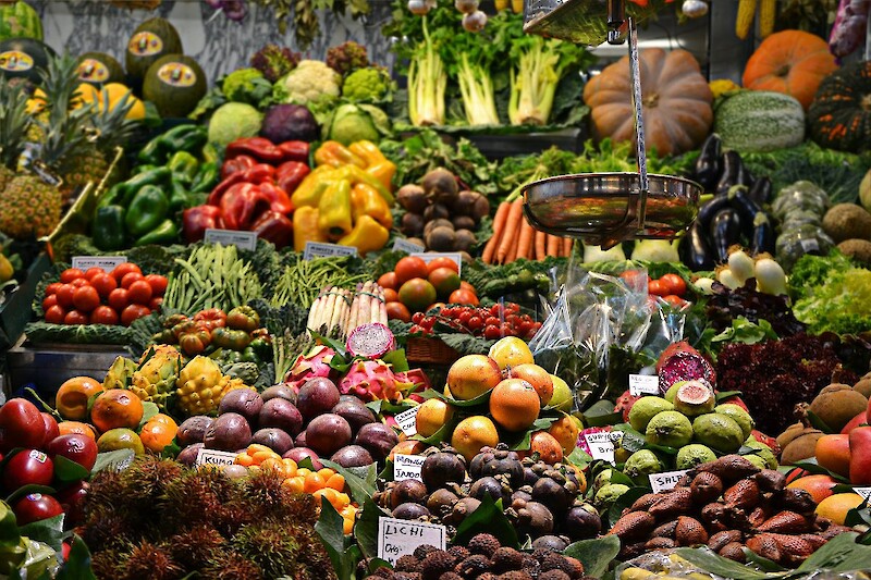 DGE Empfehlung für den täglichen Gemüse- und Obstkonsum