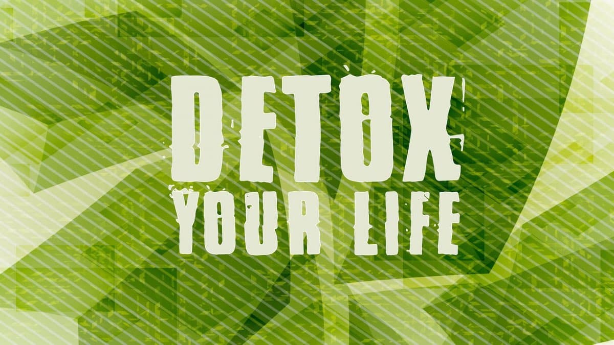 Detox your Life bei Original Bootcamp