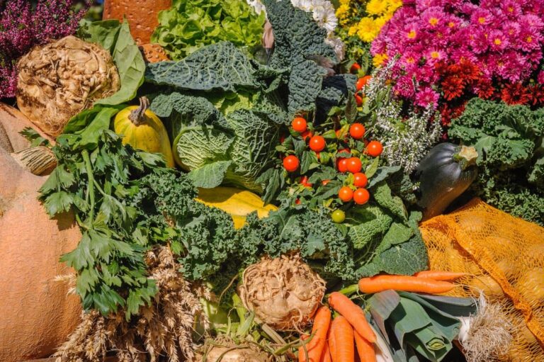 gesunde gemüese rezepte mit Original Bootcamp
