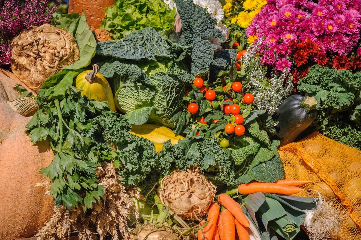 gesunde gemüese rezepte mit Original Bootcamp